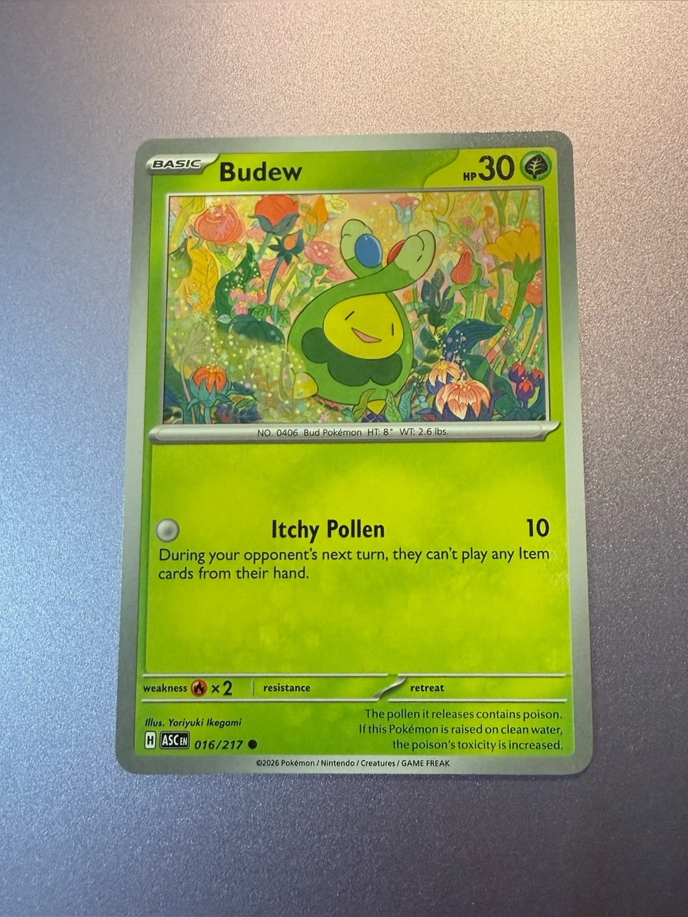 Pokemon TCG Budew 016/217